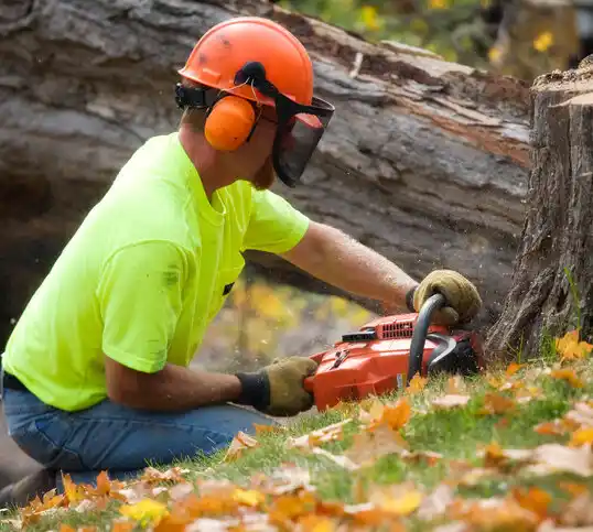 tree services Gibraltar